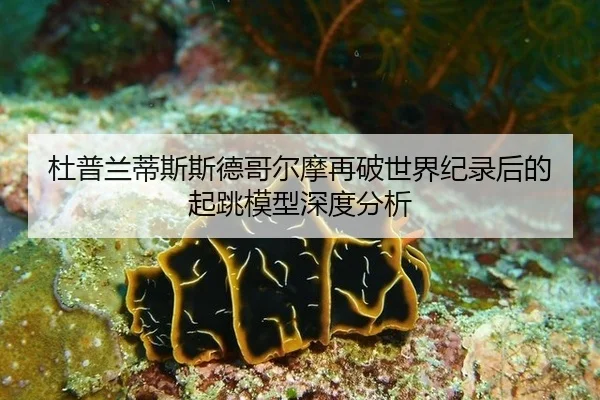 du-pu-lan-di-si-si-de-ge-er-mo-zai-po-shi-jie-ji-lu-hou-de-qi-tiao-mo-xing-shen-du-fen-xi-2-463.jpg